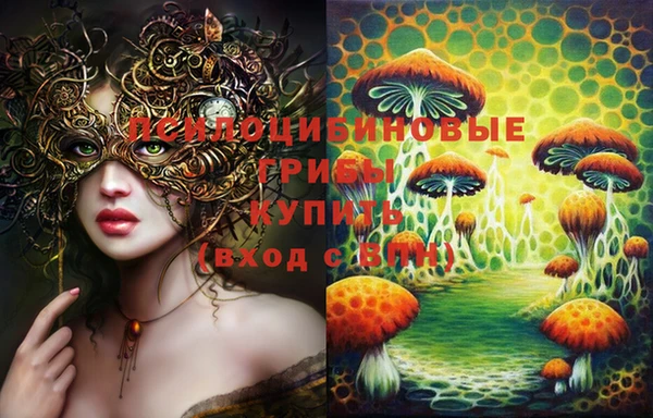 прущие грибы Балабаново