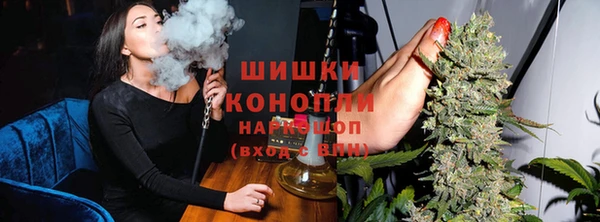 прущие грибы Мегион