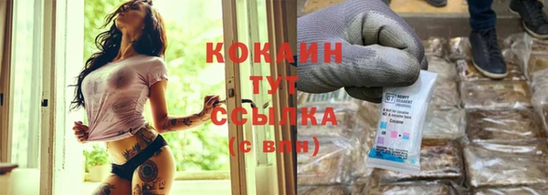 прущие грибы Балабаново