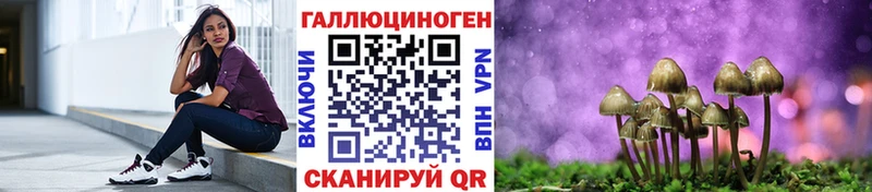 Галлюциногенные грибы Magic Shrooms  где найти   Свирск 