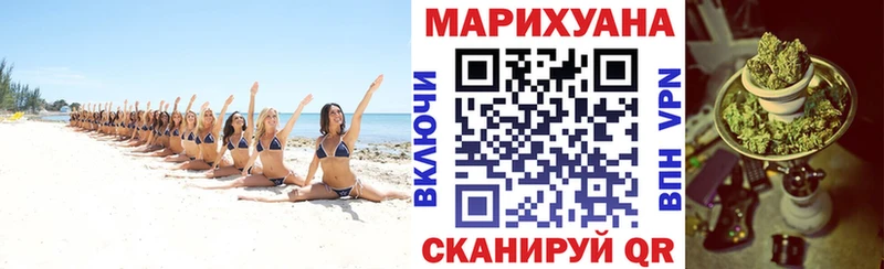 Шишки марихуана OG Kush Свирск